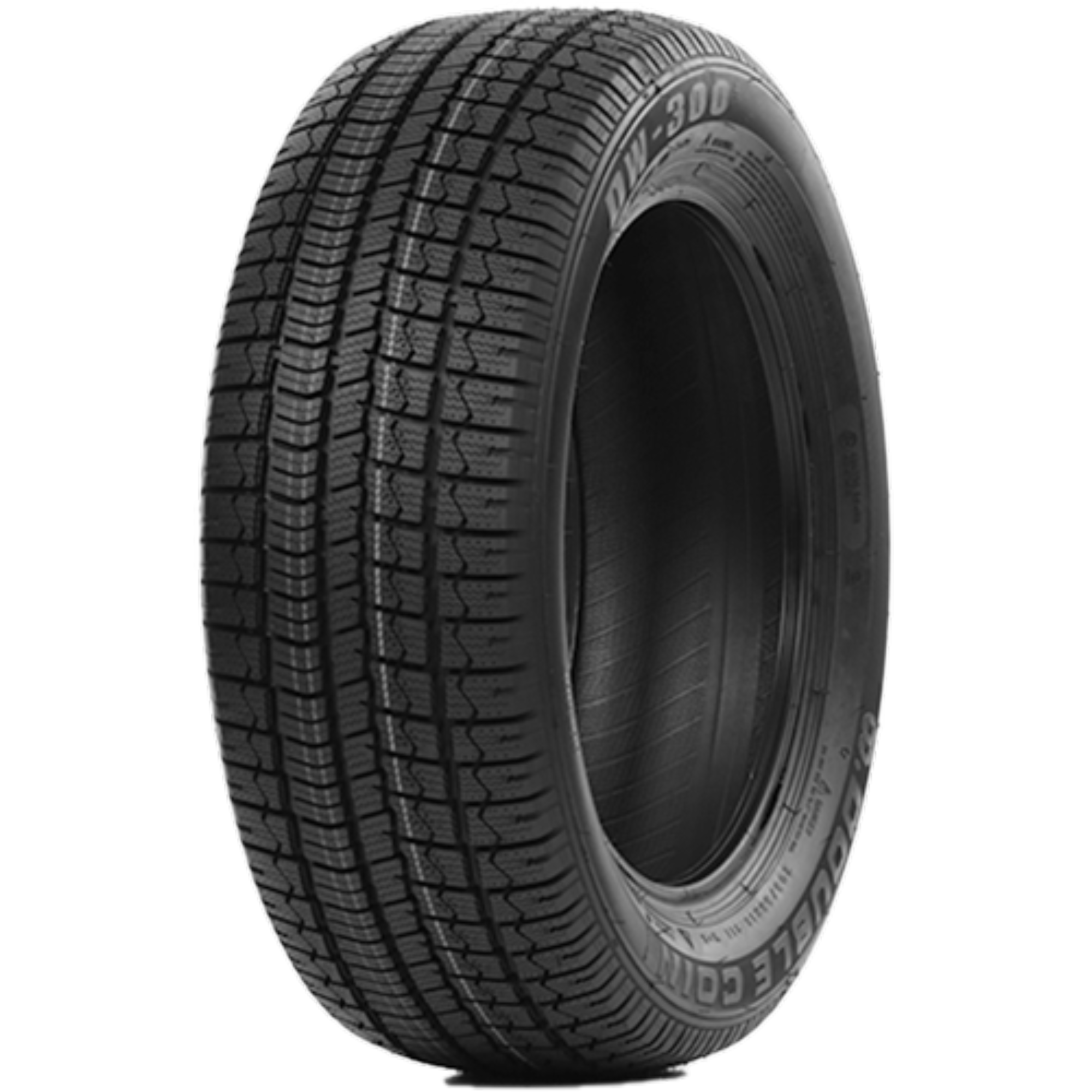 Double Coin DW300 165/70 R13